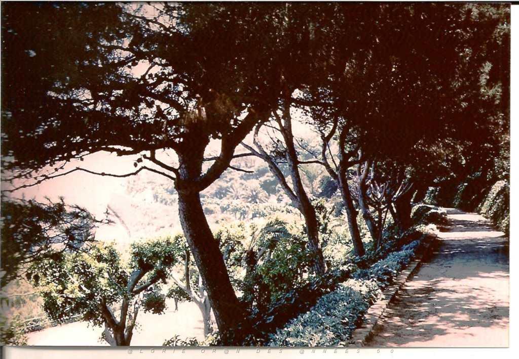 ORAN PROMENADE DE LETANG 1963.JPG